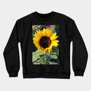 Bright and Cheery Crewneck Sweatshirt